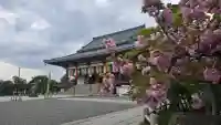 西新井大師総持寺(東京都)
