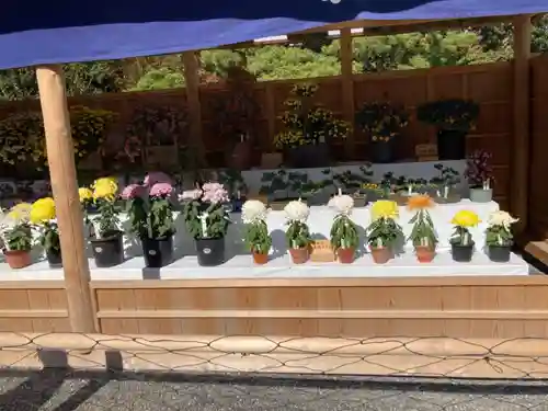 伊勢神宮内宮（皇大神宮）の自然