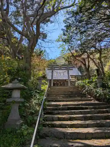 住三吉神社の{uncategorized: "未分類", other: "その他", undefined: "問題あり", building: "その他建物", grave: "お墓", sacred_gate: "鳥居", guardian: "狛犬", statue: "像", buddha: "仏像", history: "歴史", nature: "自然", garden: "庭園", animal: "動物", pagoda: "塔", temizu: "手水舎", mountain_gate: "山門・神門", sanctuary: "本殿・本堂", subordinate: "末社・摂社", art: "芸術", scenery: "景色", jizo: "地蔵", ema: "絵馬", goshuin: "御朱印", omikuji: "おみくじ", items: "授与品その他", amulet: "お守り", goshuincho: "御朱印帳", eats: "食事", festival: "お祭り", votive_dance: "神楽", shichigosan: "七五三参", wedding: "結婚式", experience: "体験その他", initially: "初詣", around: "周辺", anti_infection: "感染症対策"}