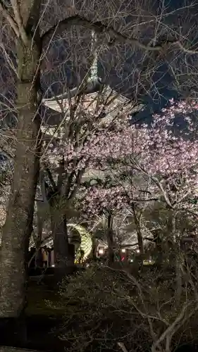 東寺（教王護国寺）(京都府)