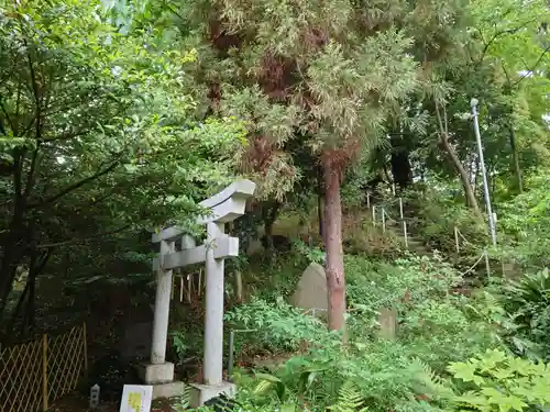 杵築大社(東京都)