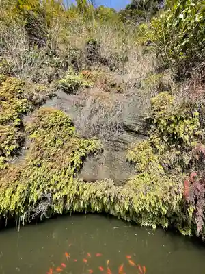銭洗弁財天宇賀福神社(神奈川県)