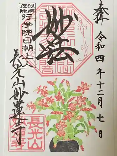 妙蓮寺の御朱印