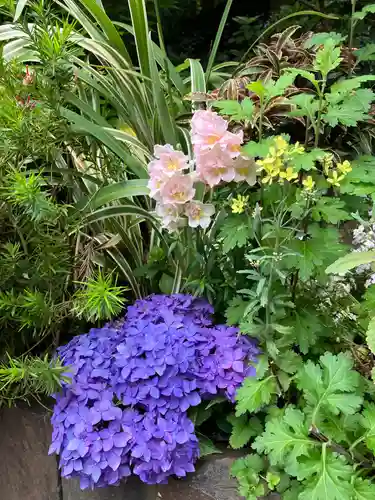 東京大神宮(東京都)