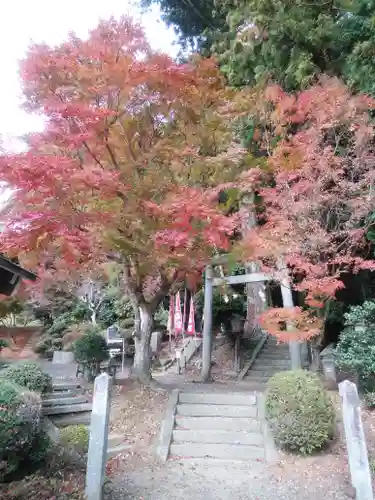 鹿島大神宮の鳥居