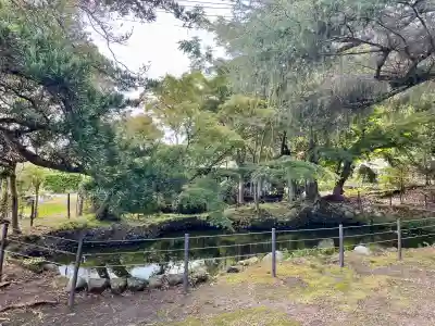館山神社(千葉県)