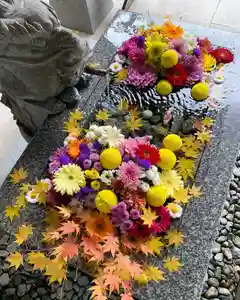 滑川神社 - 仕事と子どもの守り神の手水舎(2023年12月12日(火) 15時51分22秒投稿)