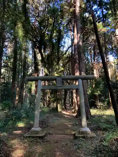 姫宮神社の鳥居