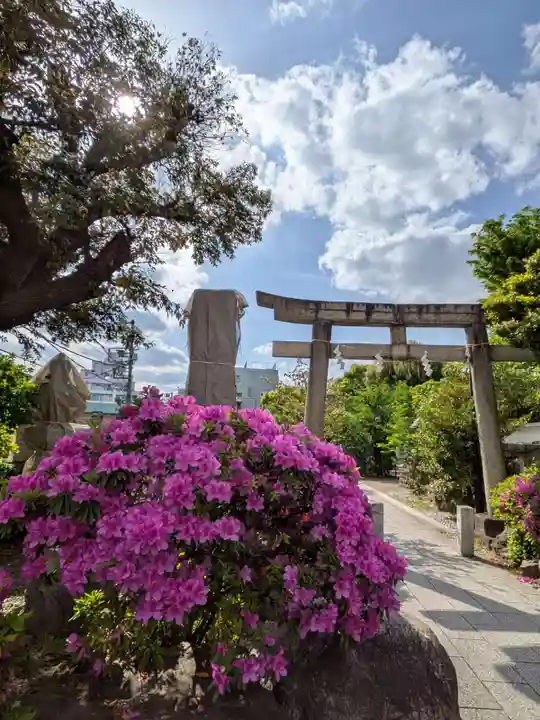 鳩森八幡神社(東京都)