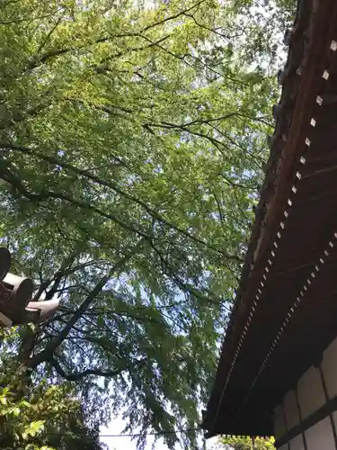 宝珠山　観泉寺の庭園