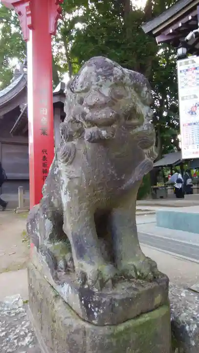 川越八幡宮の狛犬