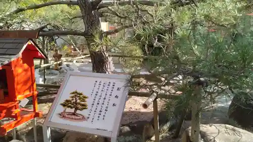 和田神社(兵庫県)