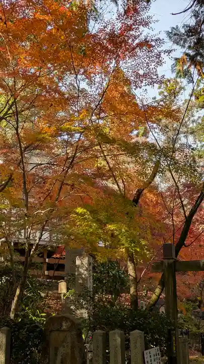 長岡天満宮(京都府)