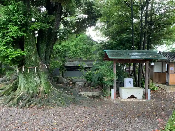御厨神明社の自然