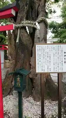 新田神社の歴史