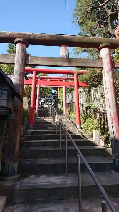 新潟大神宮の鳥居