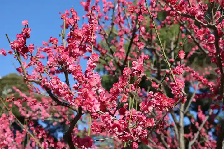 増上寺塔頭 三縁山 宝珠院(東京都)