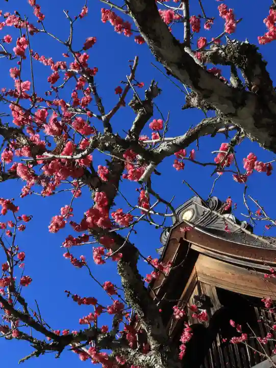 小國神社(静岡県)