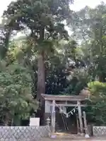 石神社の鳥居