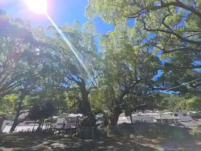 冷水八幡神社(和歌山県)