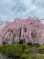 櫻木神社(千葉県)