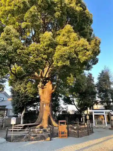 日々神社のその他建物