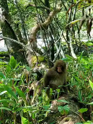 穂高神社奥宮(長野県)