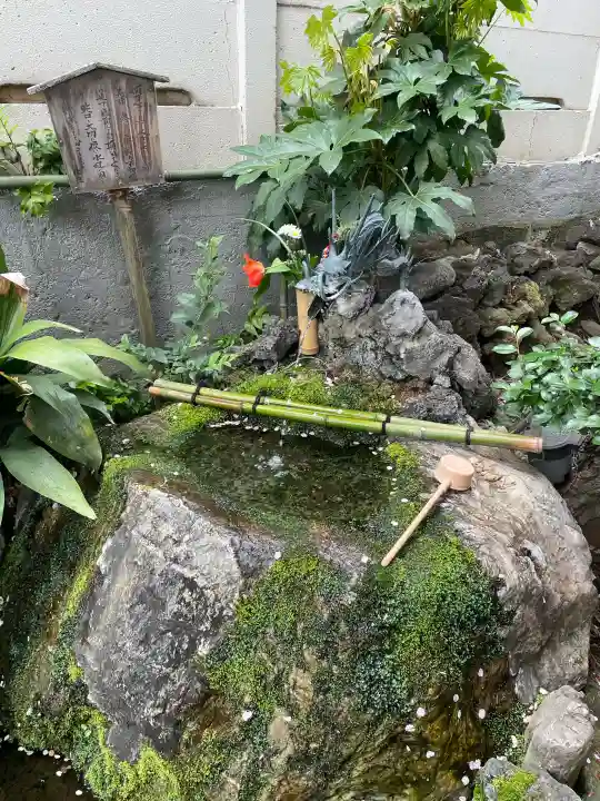 東光寺別院桜ヶ池不動院の{uncategorized: "未分類", other: "その他", undefined: "問題あり", building: "その他建物", grave: "お墓", sacred_gate: "鳥居", guardian: "狛犬", statue: "像", buddha: "仏像", history: "歴史", nature: "自然", garden: "庭園", animal: "動物", pagoda: "塔", temizu: "手水舎", mountain_gate: "山門・神門", sanctuary: "本殿・本堂", subordinate: "末社・摂社", art: "芸術", scenery: "景色", jizo: "地蔵", ema: "絵馬", goshuin: "御朱印", omikuji: "おみくじ", items: "授与品その他", amulet: "お守り", goshuincho: "御朱印帳", eats: "食事", festival: "お祭り", votive_dance: "神楽", shichigosan: "七五三参", wedding: "結婚式", experience: "体験その他", initially: "初詣", around: "周辺", anti_infection: "感染症対策"}