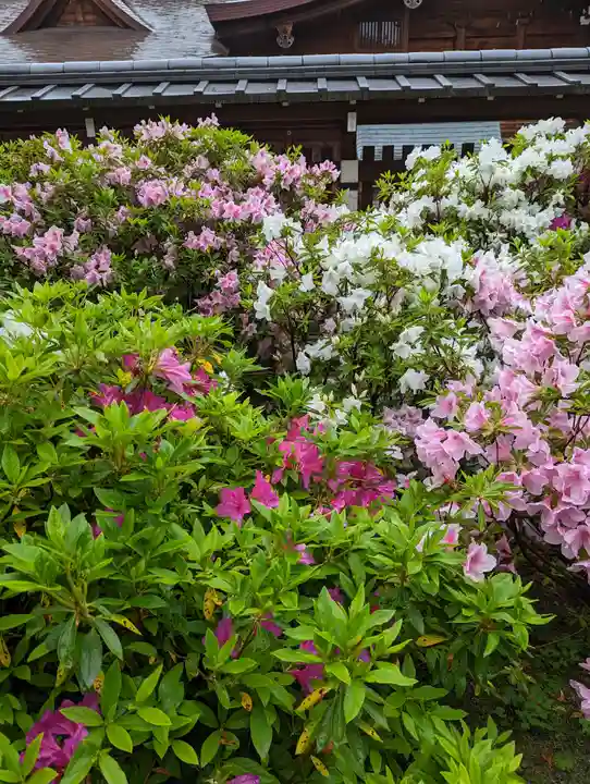 城南宮(京都府)