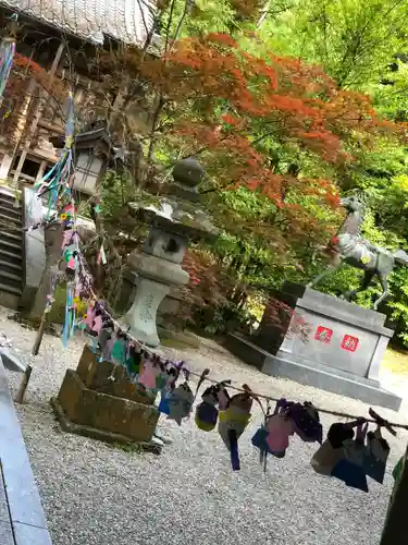 柴神社(福井県)