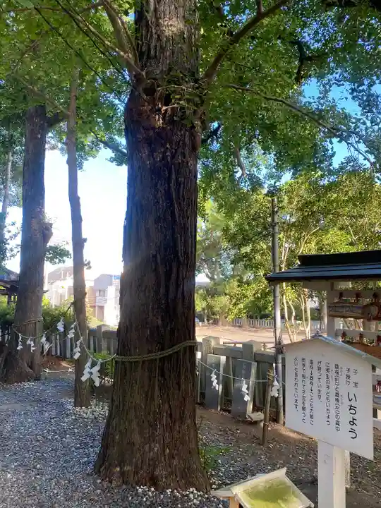 玉前神社(千葉県)