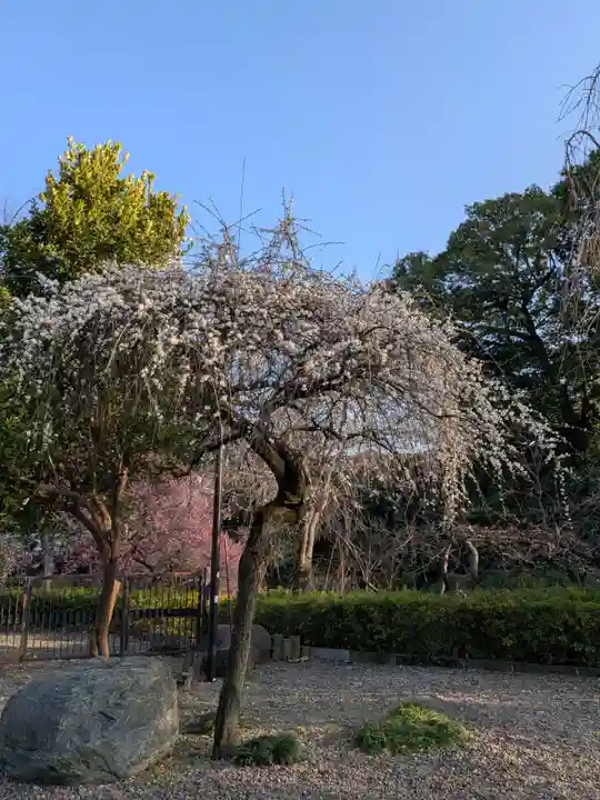 蓮華寺(東京都)