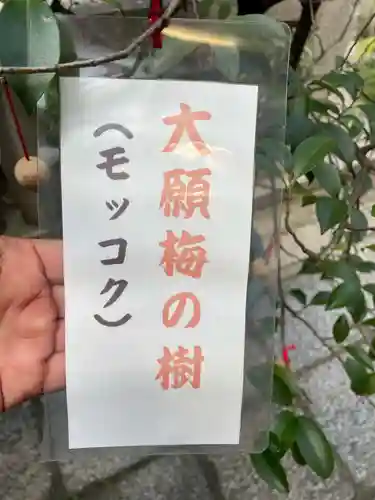 錦天満宮(京都府)