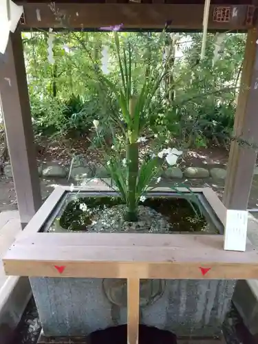 赤坂氷川神社の手水舎