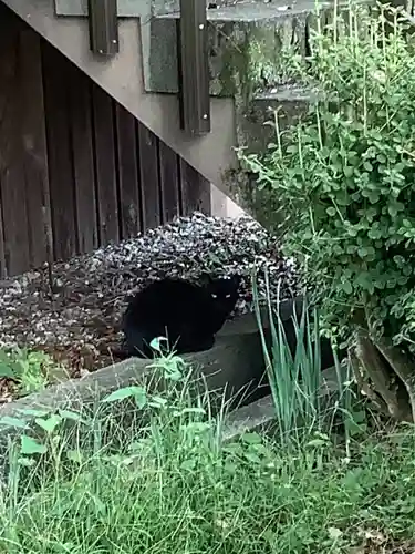 密蔵院(愛知県)