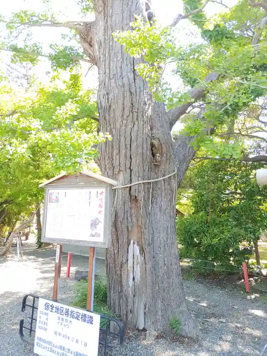 大宮神社(千葉県)