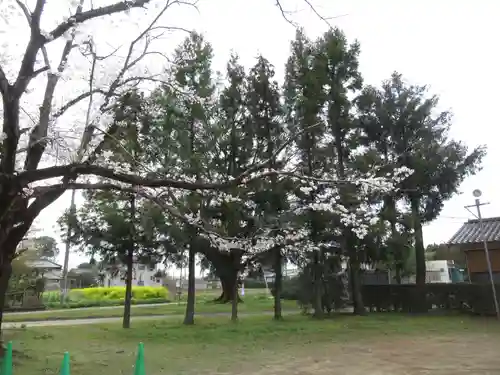 伏木香取神社(茨城県)