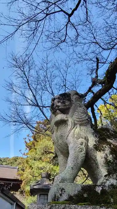 松尾大社の狛犬
