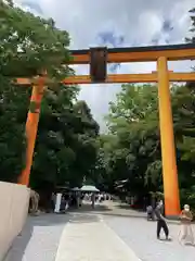 川越氷川神社の鳥居