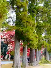 賀茂神社(宮城県)