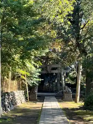 渋谷氷川神社(東京都)