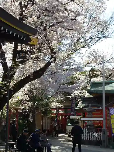 須賀神社の自然