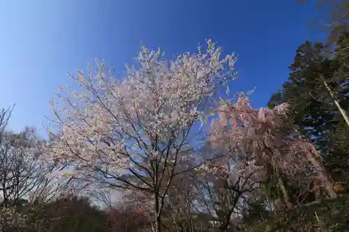 阿久津「田村神社」（郡山市阿久津町）旧社名：伊豆箱根三嶋三社の庭園