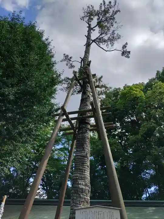 荻窪八幡神社(東京都)
