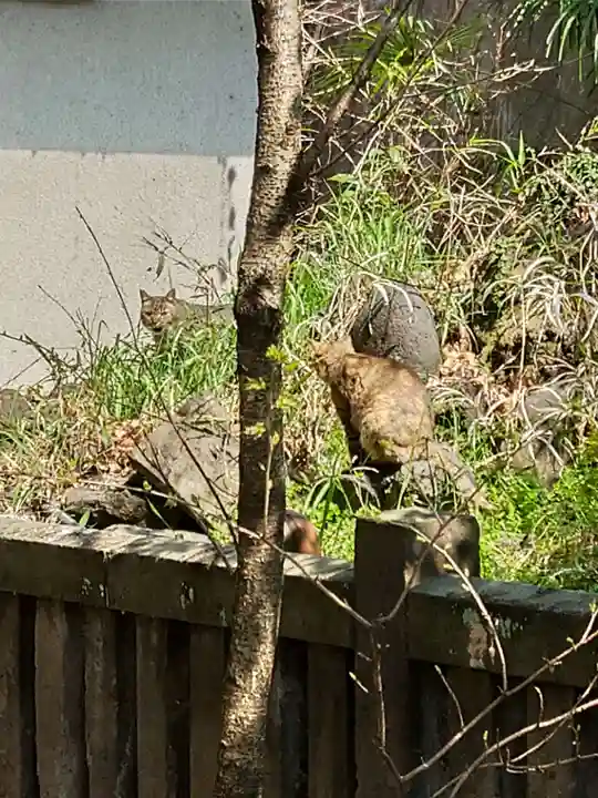 小野照崎神社(東京都)