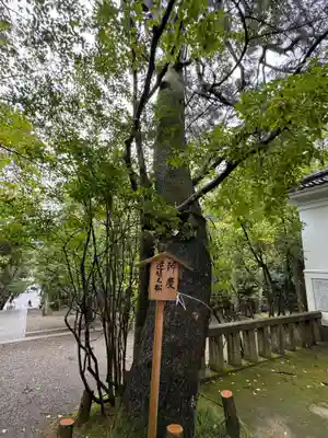 安宅住吉神社(石川県)