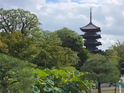 東寺（教王護国寺）の景色