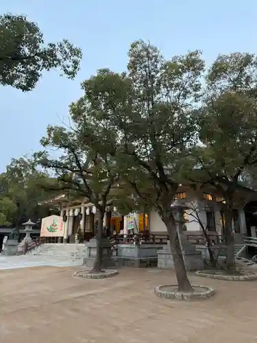 湊川神社(兵庫県)