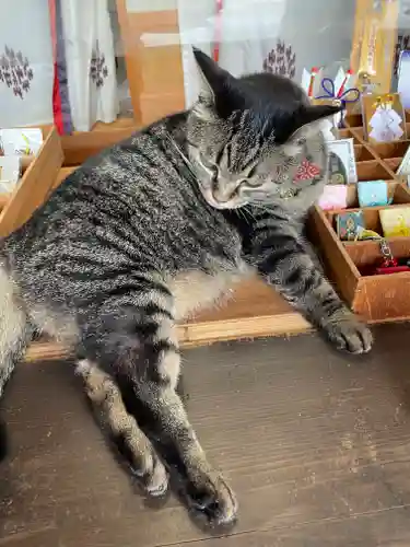 前玉神社の動物