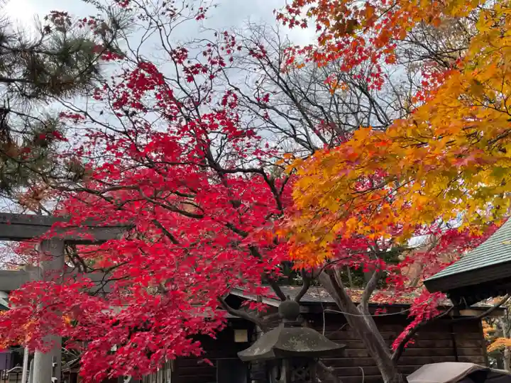 彌彦神社 (伊夜日子神社)の自然